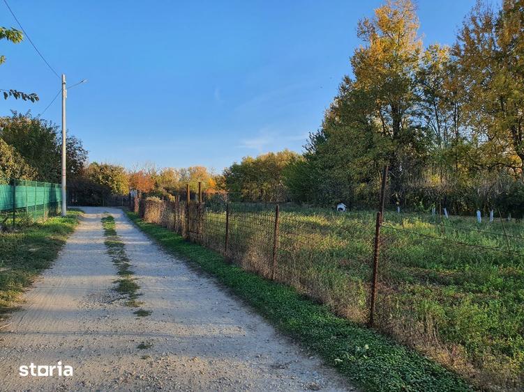 Teren de vanzare Dumbrava Minunata in Domnesti, Ilfov - 14