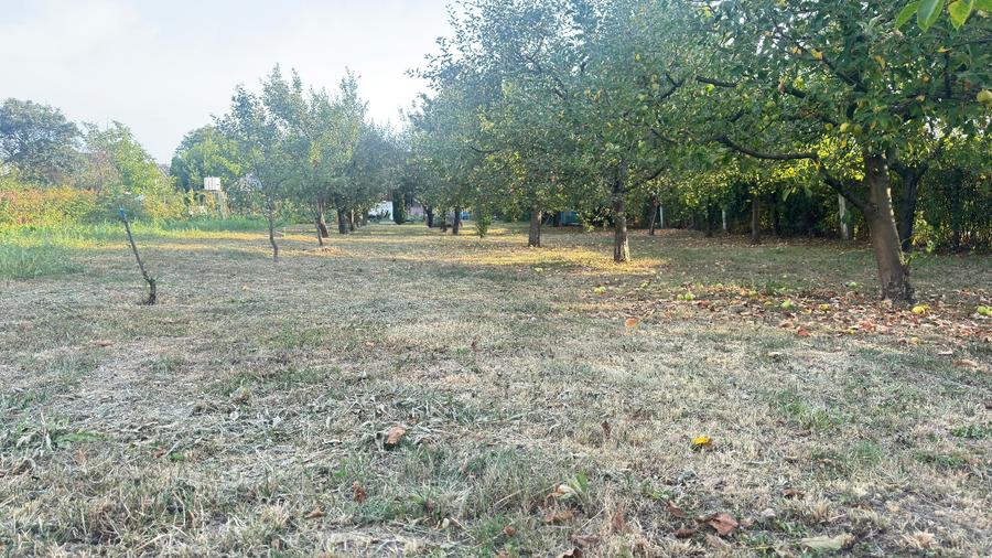 Teren Construcții intravilan de 1200 mp, în Sarasău
