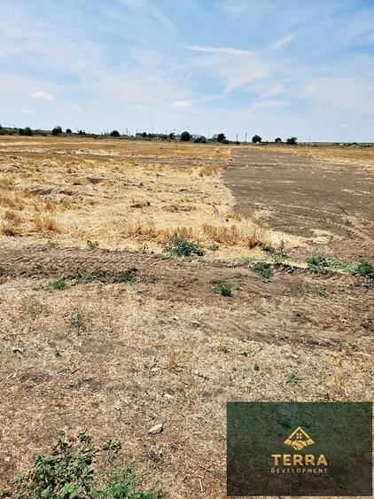 Teren Construcții intravilan de 2900 mp, în Nord