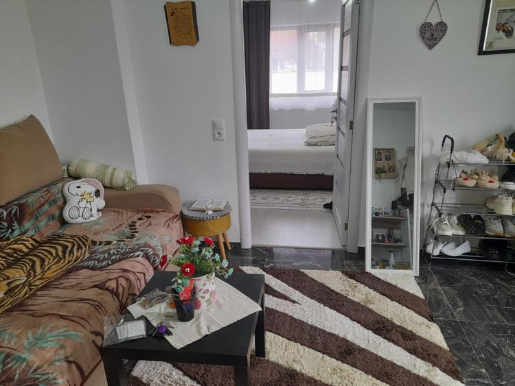 Casă individuală cu 2 camere cu Canalizare în Făgăraș