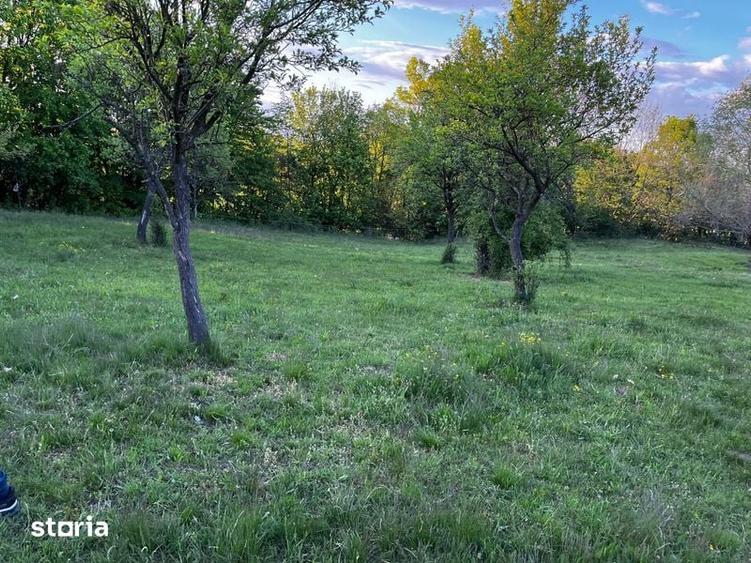 Vand teren extravilan Pianu de Sus - 6