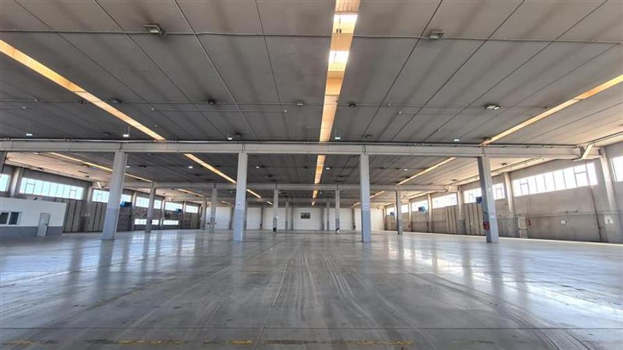 Spațiu industrial, de 5,000 mp, în Șagului