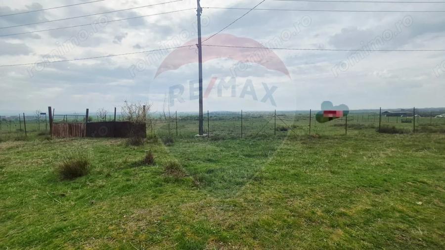 Teren de 5000 mp, în Sud