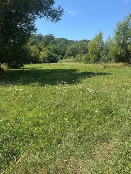 Teren de 2299 mp, în Clopotiva