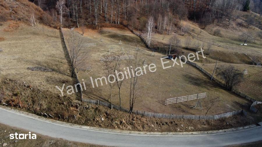 Teren de 4681 mp, în Cicănești