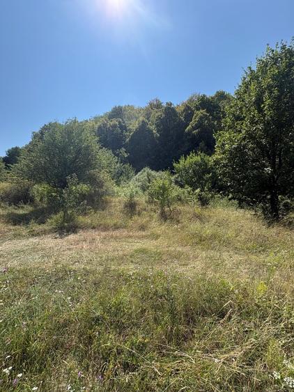 Teren agricol intravilan de 3000 mp, în Nord