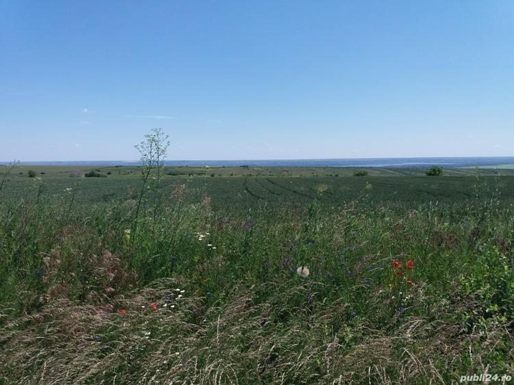Teren de 4200 mp, în Tulucești