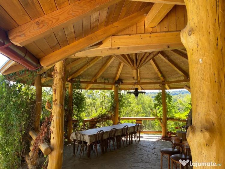 Casă cu 7 camere cu Teren 17000 Mp în Cărbunari