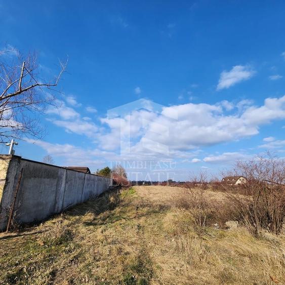 Teren Construcții intravilan de 5000 mp, în Vlădiceasca