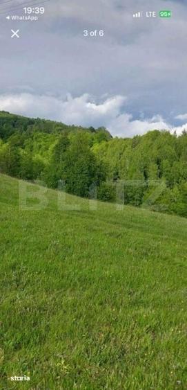 Teren de 4500 mp, în Vidra