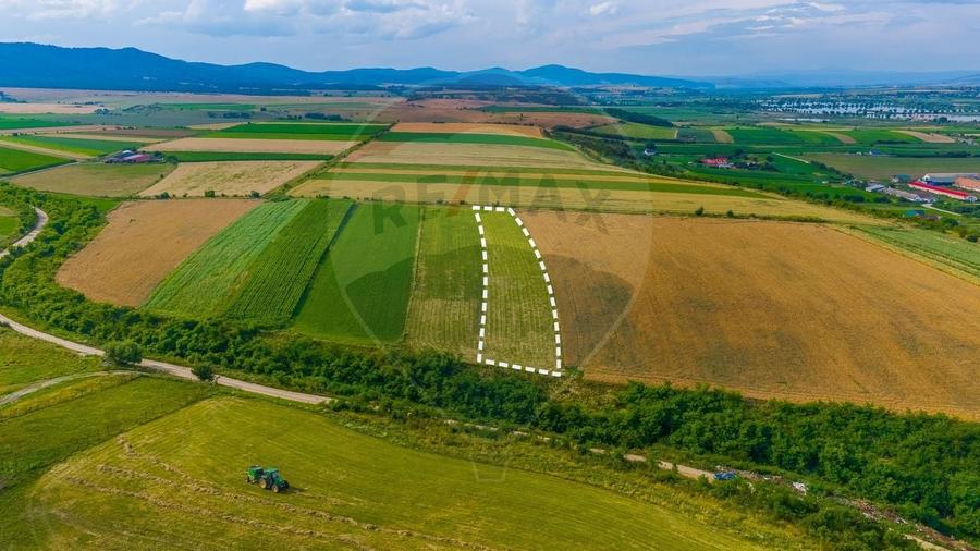 Teren agricol extravilan de 10800 mp, în Rotbav