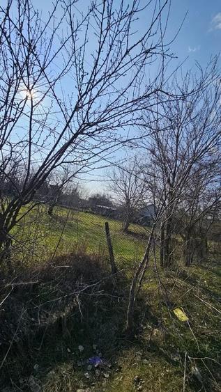 Teren de 6076 mp, în Central