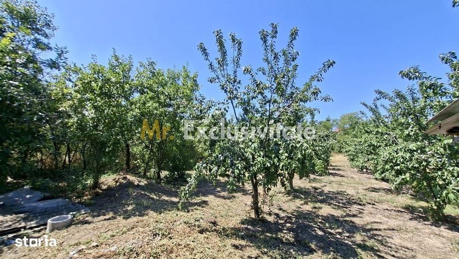 Casă cu 3 camere în Teiu