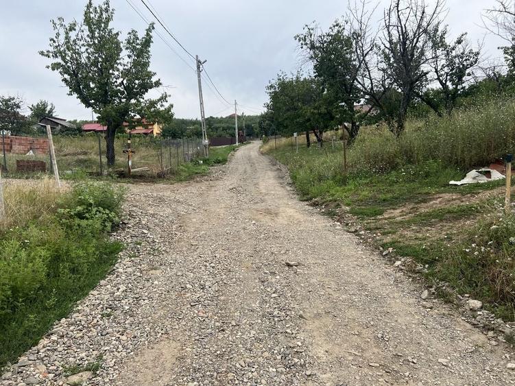 Teren de 10000 mp, în Central