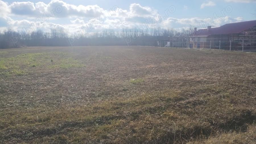 Teren de 6700 mp, în Gălețeanu
