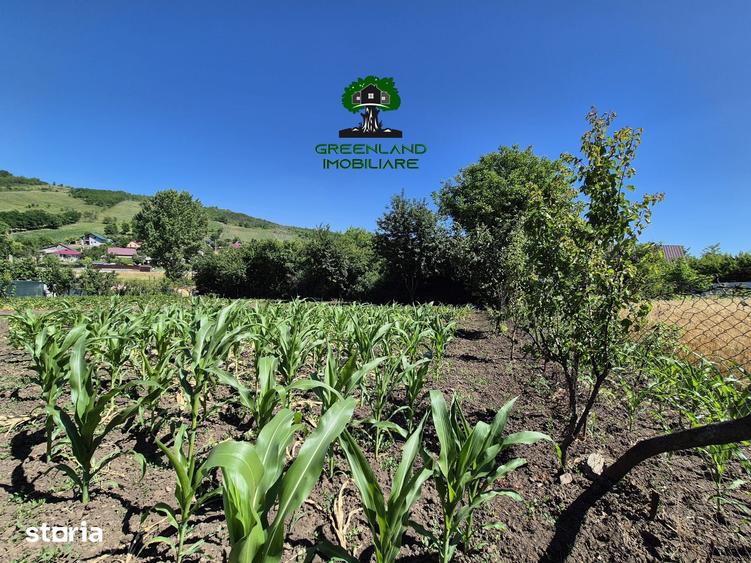 Casă cu 4 camere cu Teren 3024 Mp în Popricani