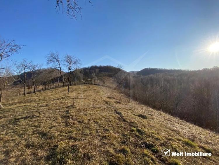 Casă individuală cu 4 camere cu Teren 8000 Mp în Ciucea