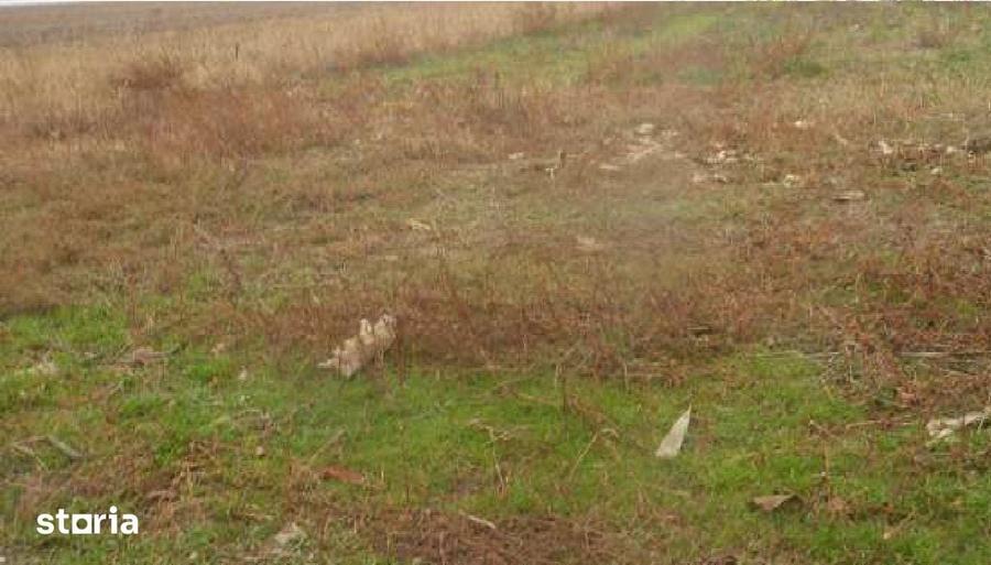 Teren de 10098 mp, în Munteni