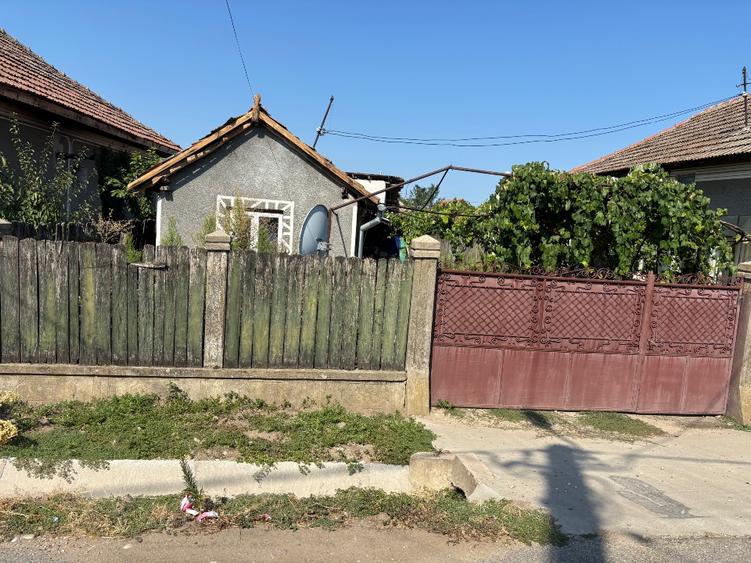 Casă cu 3 camere cu Teren 1587 Mp în Pătulele