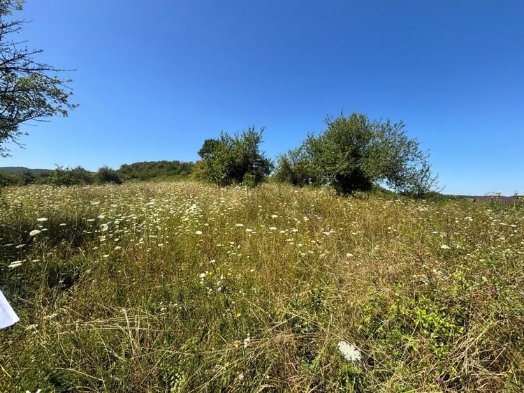 Teren Construcții intravilan de 800 mp, în Sud-Est