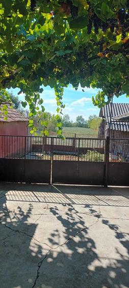 Casă cu 4 camere în Berechiu