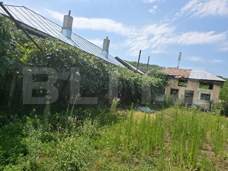 Teren Construcții intravilan de 1598 mp, în Cobia