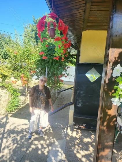 Casă cu 2 camere în Vitănești