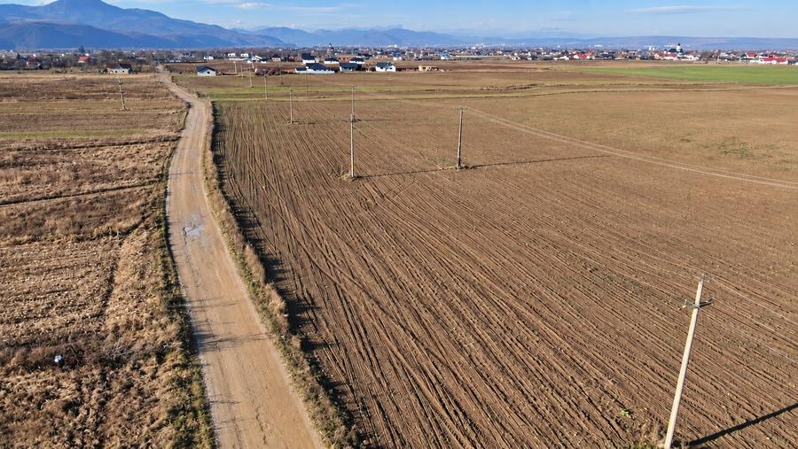 Teren intravilan de 3600 mp, în Dumbrava Roșie
