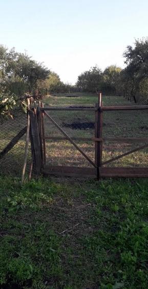 Casă cu Teren 2000 Mp în Saca