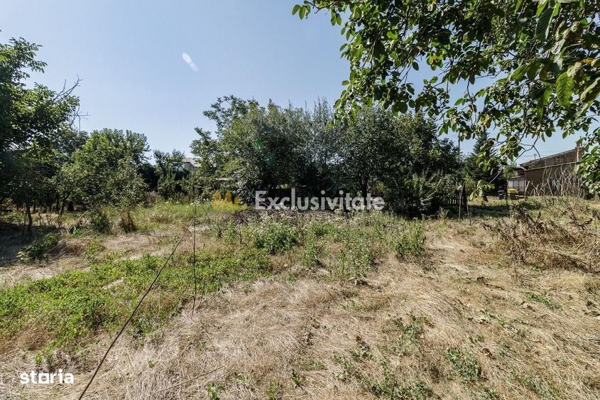 teren 3889 mp Domnesti Primarie - 7