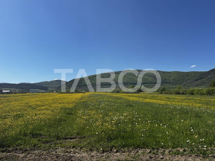 Teren Construcții intravilan de 1800 mp, în Poplaca