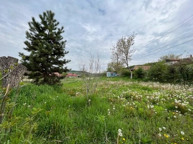 Teren Construcții intravilan de 1369 mp, în Exterior Vest