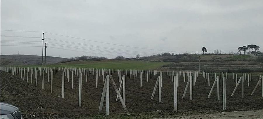 TEREN intravilan Racari, Dolj 9000mp - 4