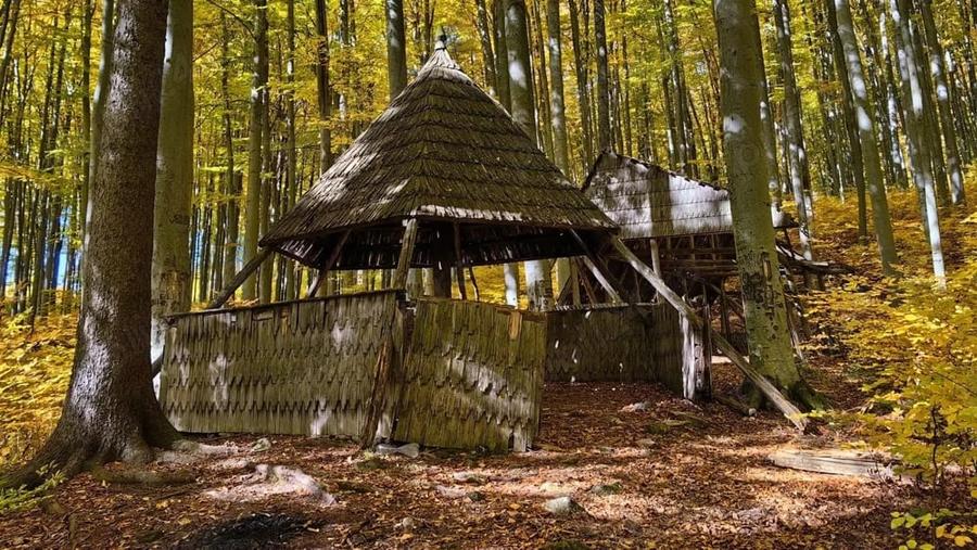 Teren de 27500 mp, în Săcărâmb