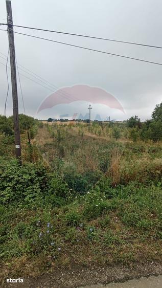 Teren de 2341 mp, în Paleu