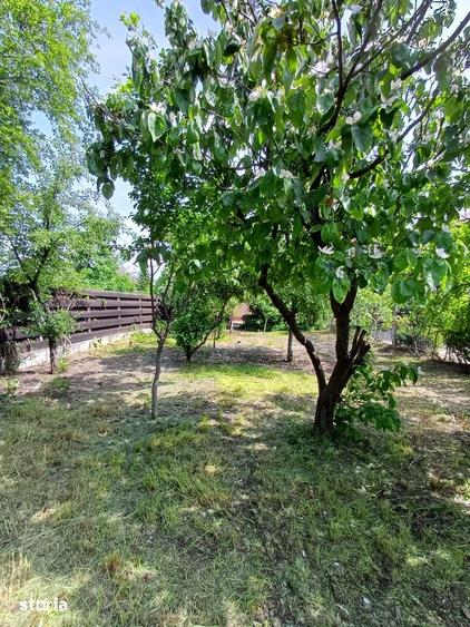 De vanzare casa cu suprafata construita 92mp si curte de 584mp - 3