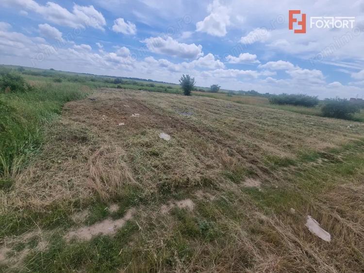 Teren intravilan de 743 mp in Mosnita Veche - 1