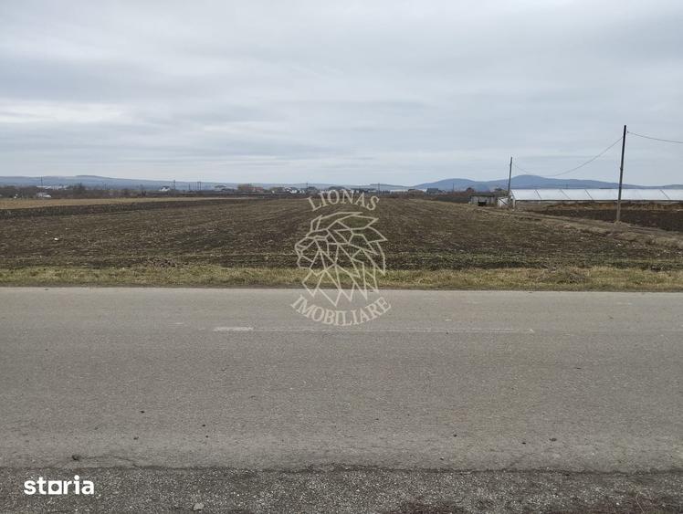 Teren de 2500 mp, în Budacu de Jos