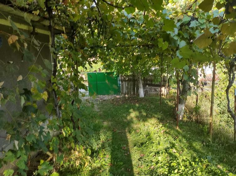 Casă cu 1 camere în Calea Mare