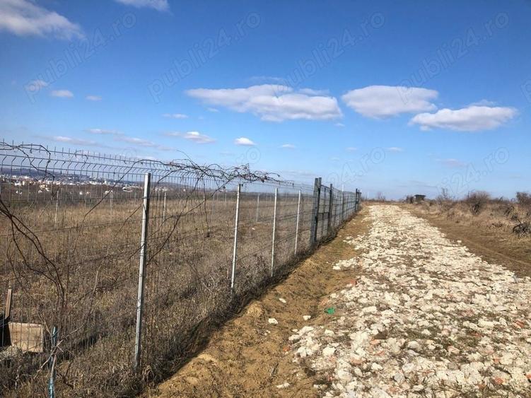 Teren de 1000 mp, în Bucium