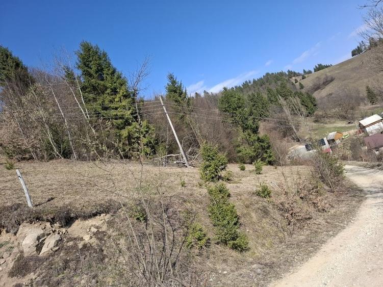 Spațiu comercial, în Gura Roșiei