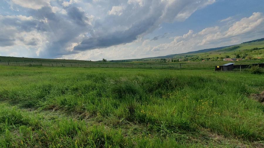Vand teren extravilan cu CF, in Salistea Veche - 5