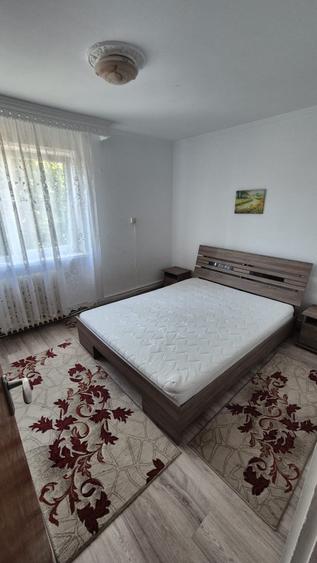 Apartament cu 2 camere în Cetate