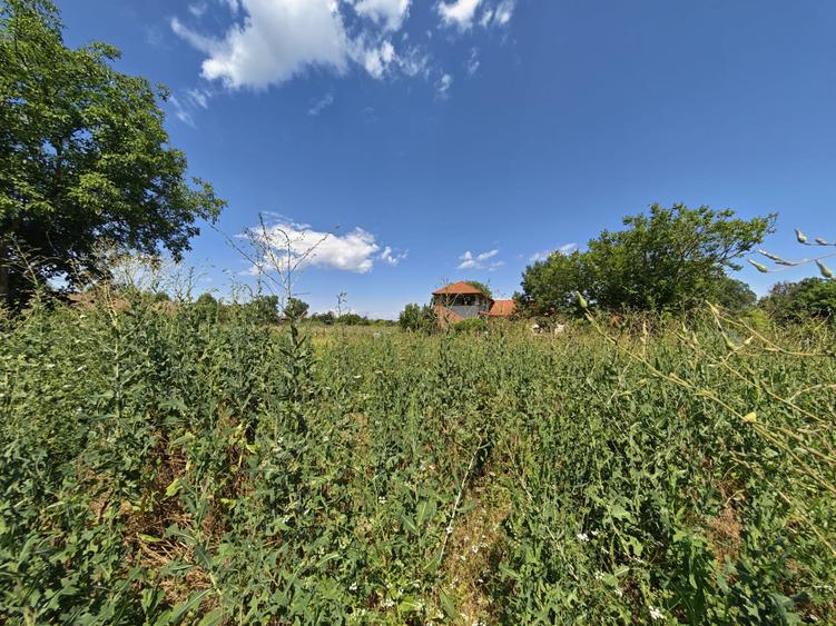 Teren agricol intravilan de 1031 mp, în Ghermănești