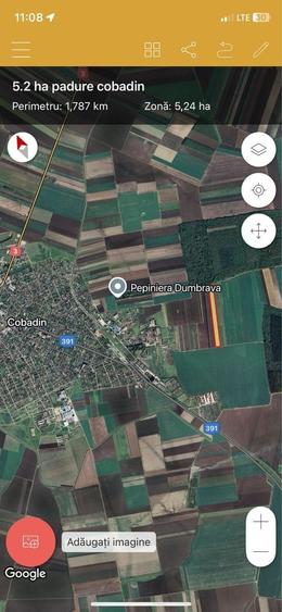 Spațiu comercial, în Cobadin