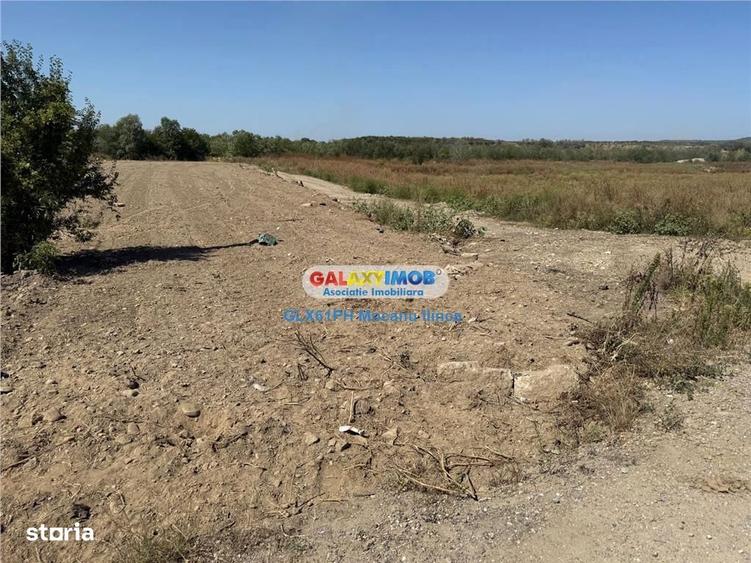 Teren de 2960 mp, în Lipănești