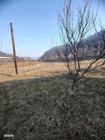 Casă cu 3 camere în Fizeș