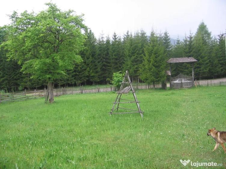 Teren de 4080 mp, în Valea Doftanei