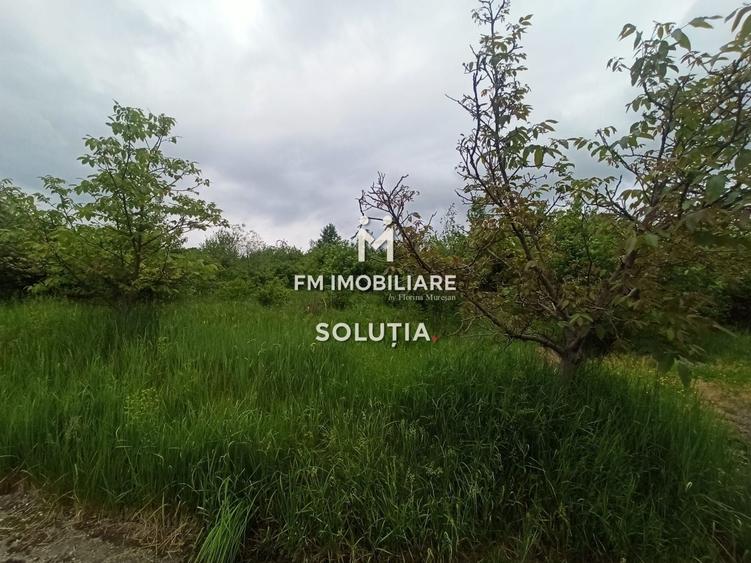 Teren agricol extravilan de 6330 mp, în Valea Borcutului