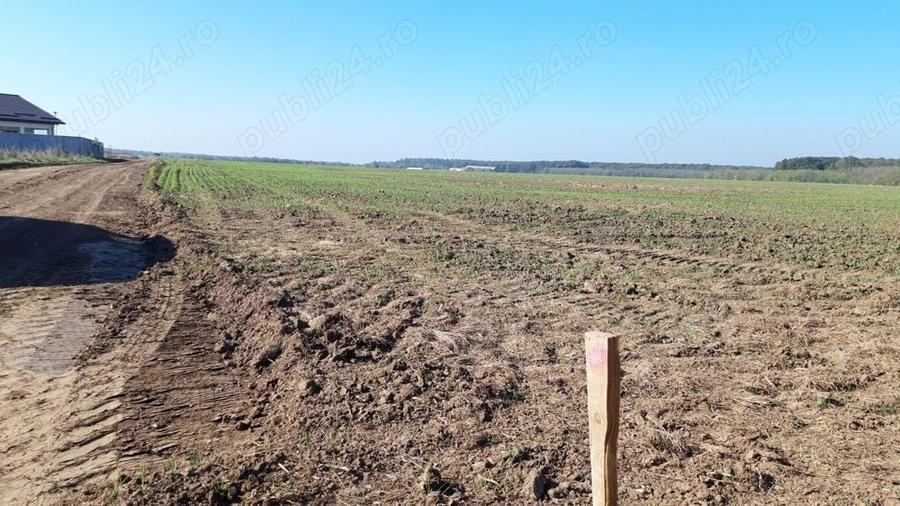BRANESTI, spatele Politiei, 7000mp, 29m deschidere la intravilan - 3